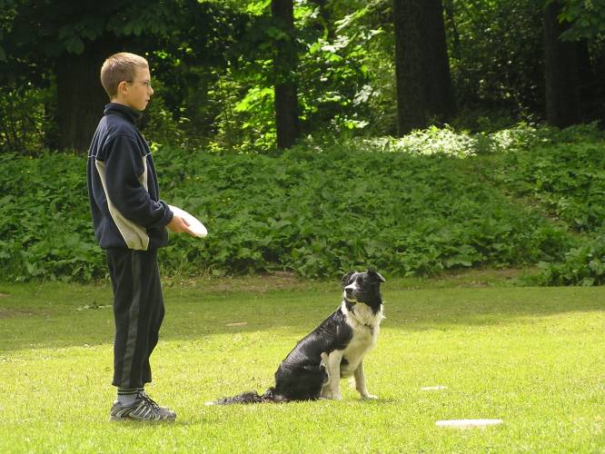 dogfrisbee 034.jpg