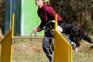 200809-agility-intenzivnistodulky-4809.jpeg