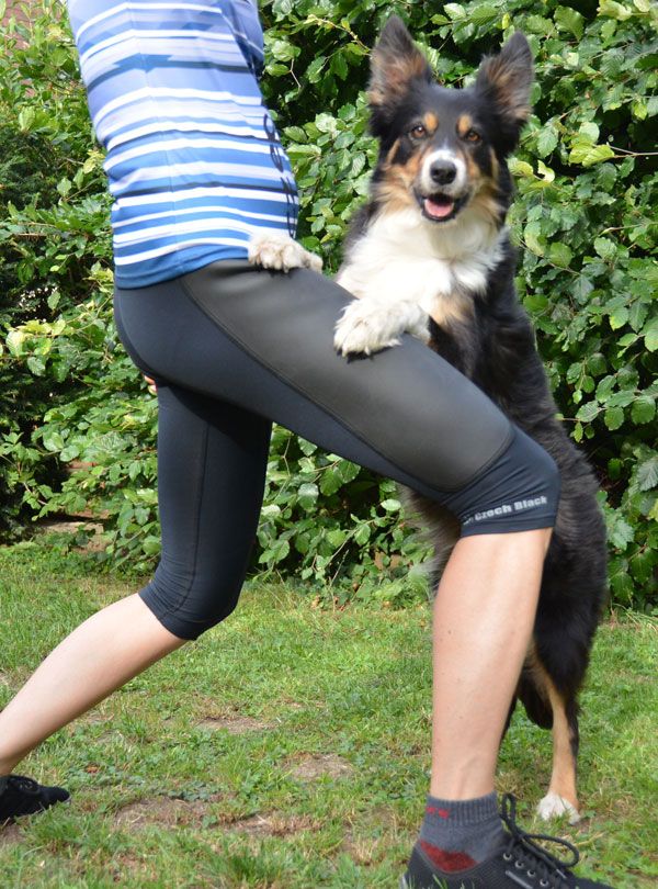 trousers, pants, shorts, dogfrisbee, training, frisbee, dog